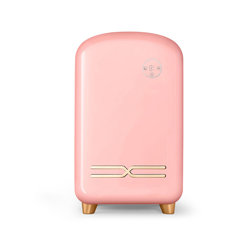 Household Mini Fridge 12L Prof - Beauty Makeup Fridge recension och pris