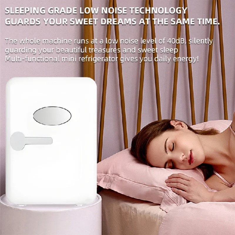 Portable 4L Mini Beauty Fridge - Beauty Makeup Fridge recension och pris