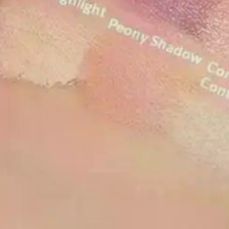 Cappuvini 4 Color Matte Velvet - Beauty Makeup Eyeshadow Palette recension och pris