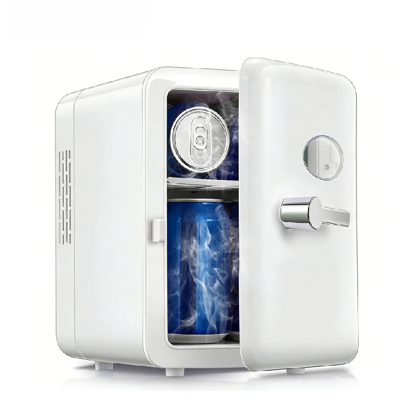 Portable 4L Mini Beauty Fridge - Beauty Makeup Fridge recension och pris