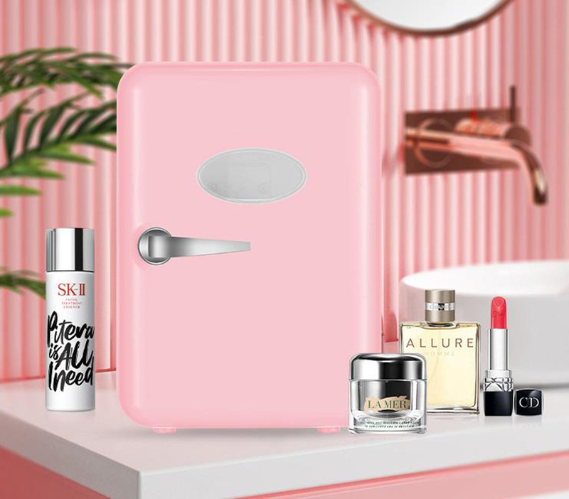 Dual-Use 4L Home Car Use Refri - Beauty Makeup Fridge recension och pris